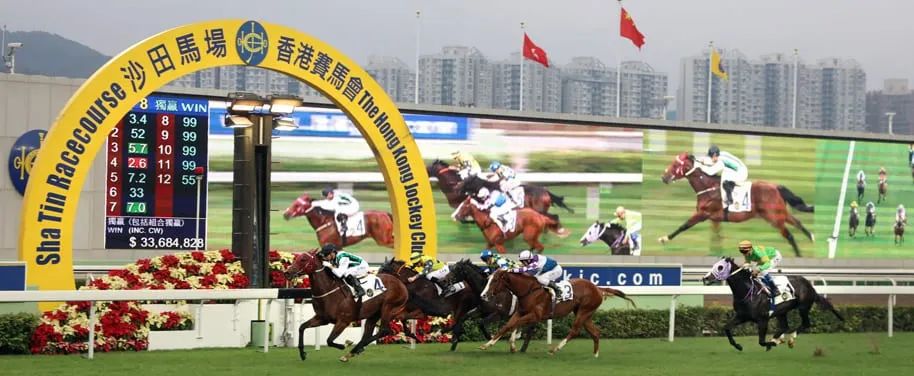 1326-馬會(huì)傳真論壇資料，揭秘香港賽馬的獨(dú)特魅力與信息交流平臺(tái)