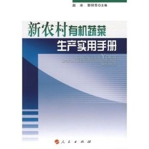 香港資料大全2031，全面指南與實用信息