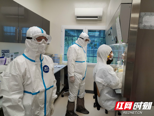 希望之光，Hope組合最新動(dòng)態(tài)與未來(lái)展望——音樂(lè)界的璀璨新星