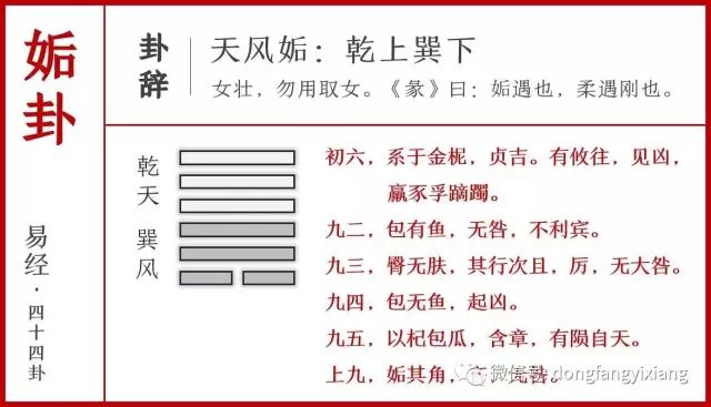 揭秘二四六玄機圖，資料大全詳解與最新解析