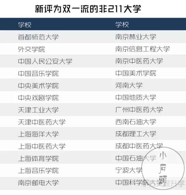 揭秘二四六天天玄機(jī)圖，2019最新標(biāo)準(zhǔn)與深度解析
