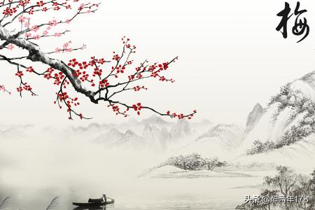 梅花傲雪，正版香江——2013年香港資料四字詩