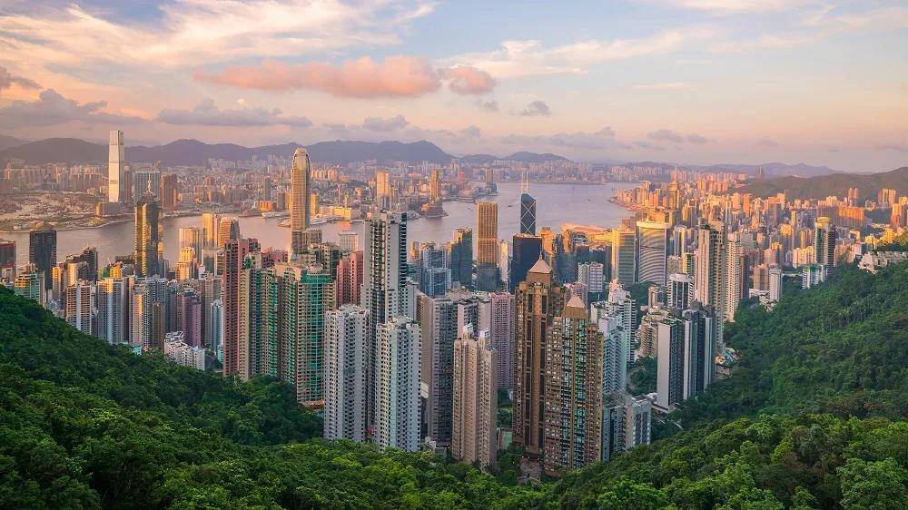 香港資料共享大全，一站式了解香港的全方位信息