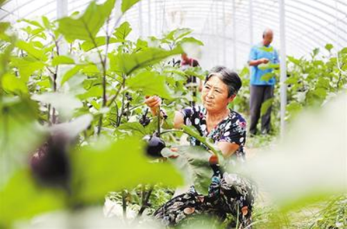 探索二四六香港資料，期中資料的獨特優(yōu)勢與價值