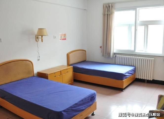 香港資料免費大全一覽表最新版，全面指南與實用資源匯總