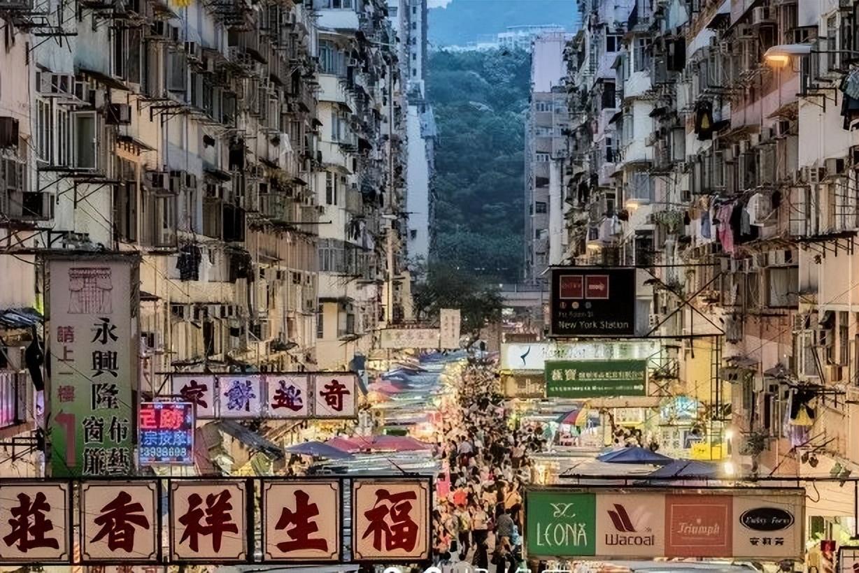 探索香港新風(fēng)貌，2019年最新版香港資料參考手冊深度解析