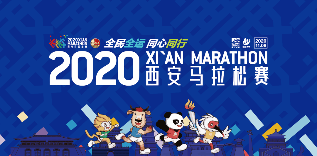 澳門六開獎，204年165期最新揭曉，探索數字背后的幸運與希望