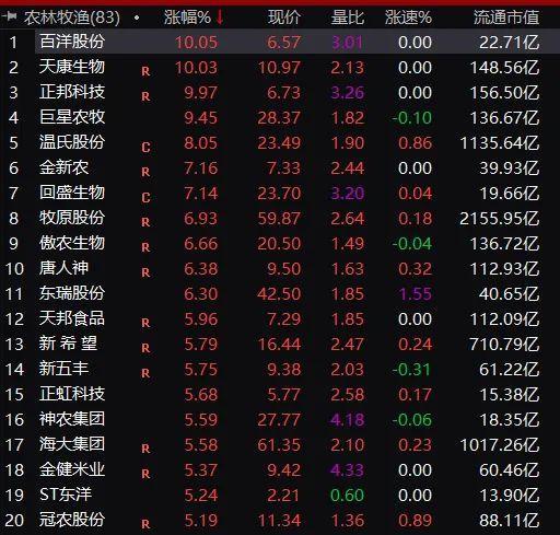 英偉達(dá)股票實(shí)時行情走勢圖表最新分析，科技巨頭的市場表現(xiàn)與未來展望