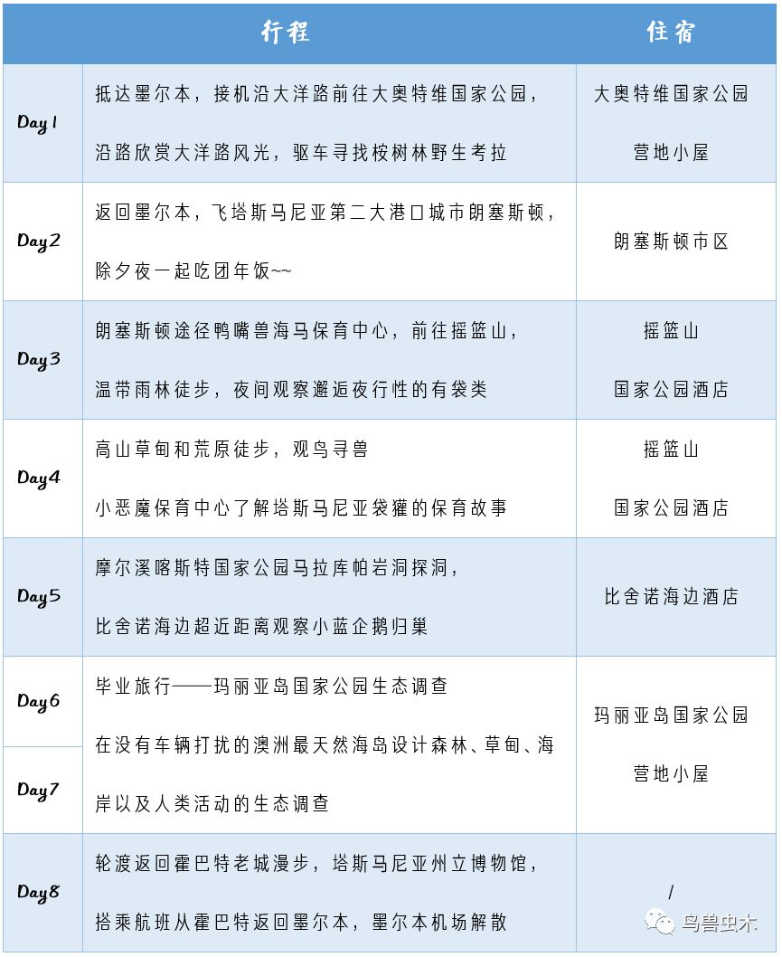 探索新澳歷史開獎的奧秘，最新結(jié)果查詢表與今天直播視頻揭秘