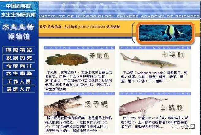 失蹤的香港資料庫(kù)，信息時(shí)代的隱憂與反思