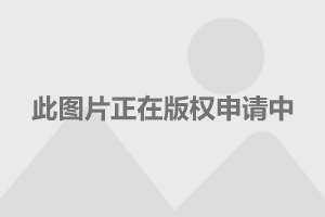 探索香港資訊的寶藏之地，揭秘香江論壇——全港資料最豐富的在線交流平臺(tái)