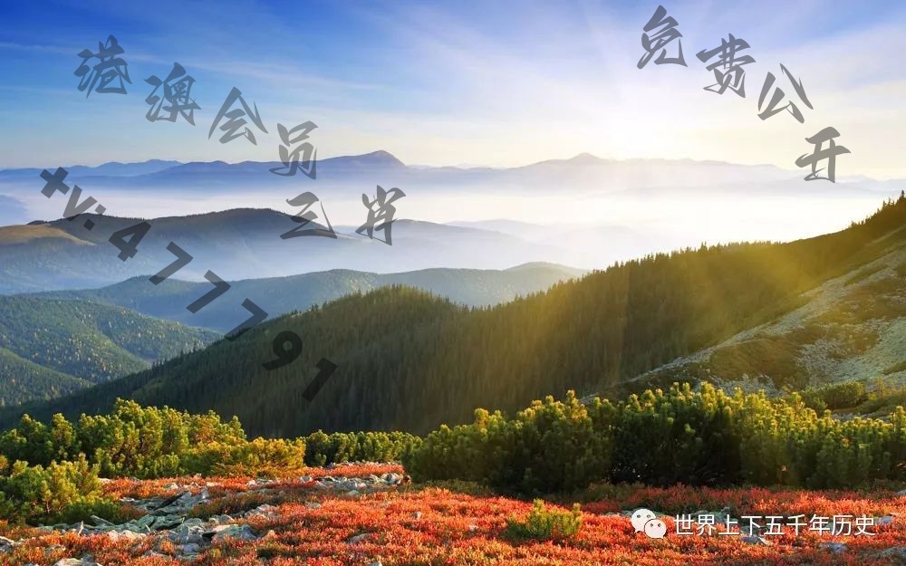 探索新澳現(xiàn)場開獎的最新動態(tài)，今日結(jié)果揭秘