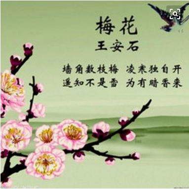 2046年新澳正版資料，生肖梅花詩全文最新更新