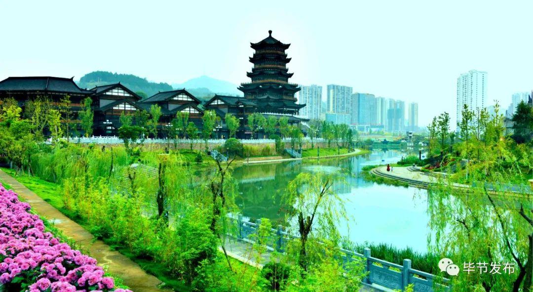 探索未來，香港資料圖書204年最新公布