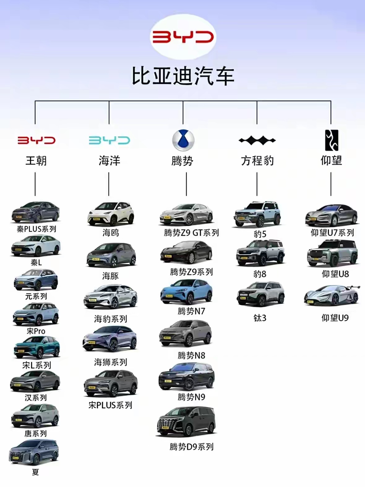 比亞迪汽車車型大全，從經(jīng)典到未來，探索中國新能源汽車的無限可能
