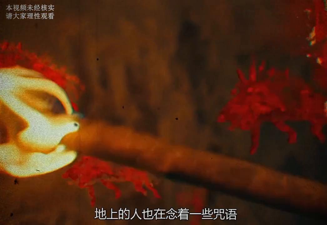 揭秘749局，國語版在線觀看背后的神秘與真相