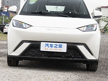 海鷗比亞迪204款，海洋之翼，智啟未來——詳解及圖片賞析