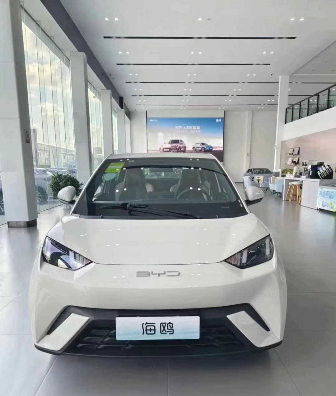比亞迪海鷗，續(xù)航與性能的雙重保障——揭秘其電池配置