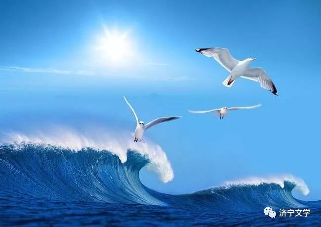 歌曲海鷗與逃跑計劃的自由之歌