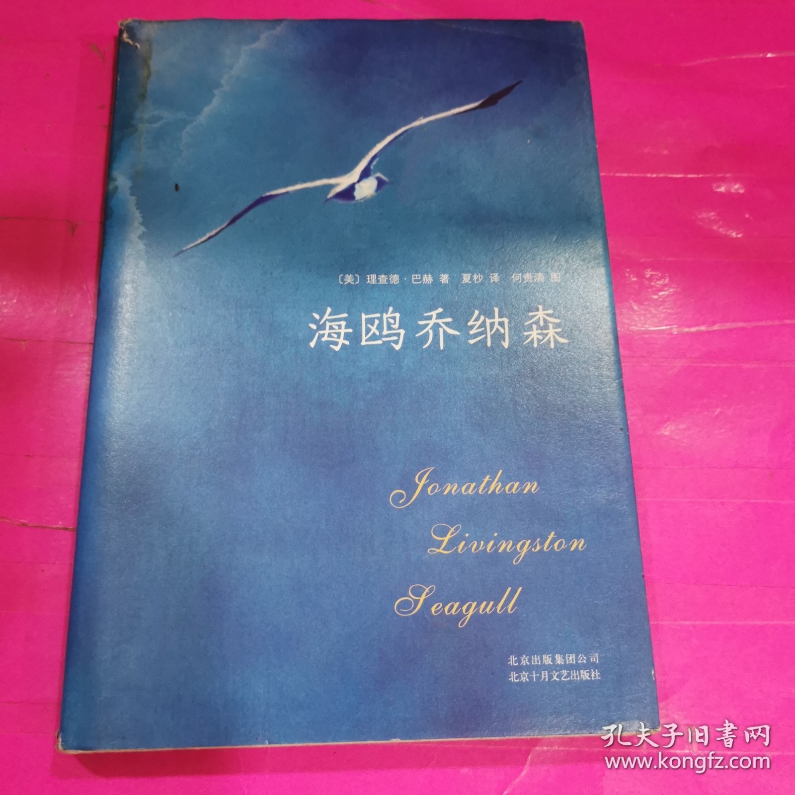 海鷗喬納森人物關(guān)系圖解——飛翔的靈魂與家族之愛(ài)