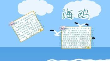 海鷗主題
