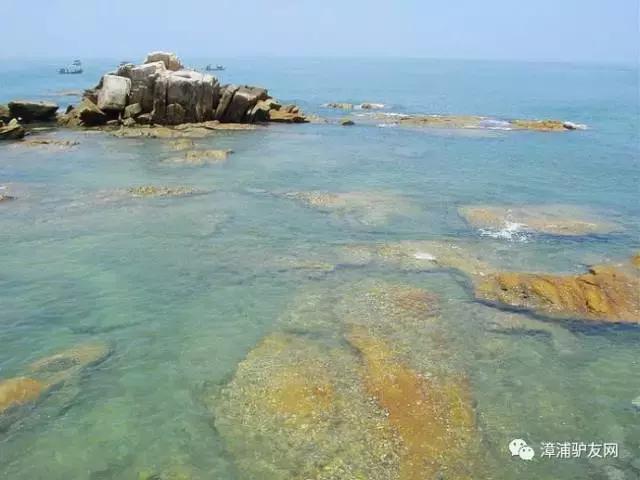 海鷗翱翔，一曲海天之間的浪漫交響