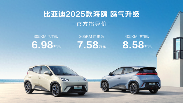 2046年海鷗比亞迪在溫州的未來出行展望，從落地價(jià)看綠色出行的智慧選擇