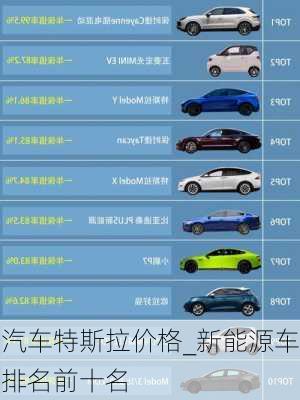 204年汽車(chē)市場(chǎng)新風(fēng)向，特斯拉領(lǐng)銜的新能源汽車(chē)報(bào)價(jià)大全