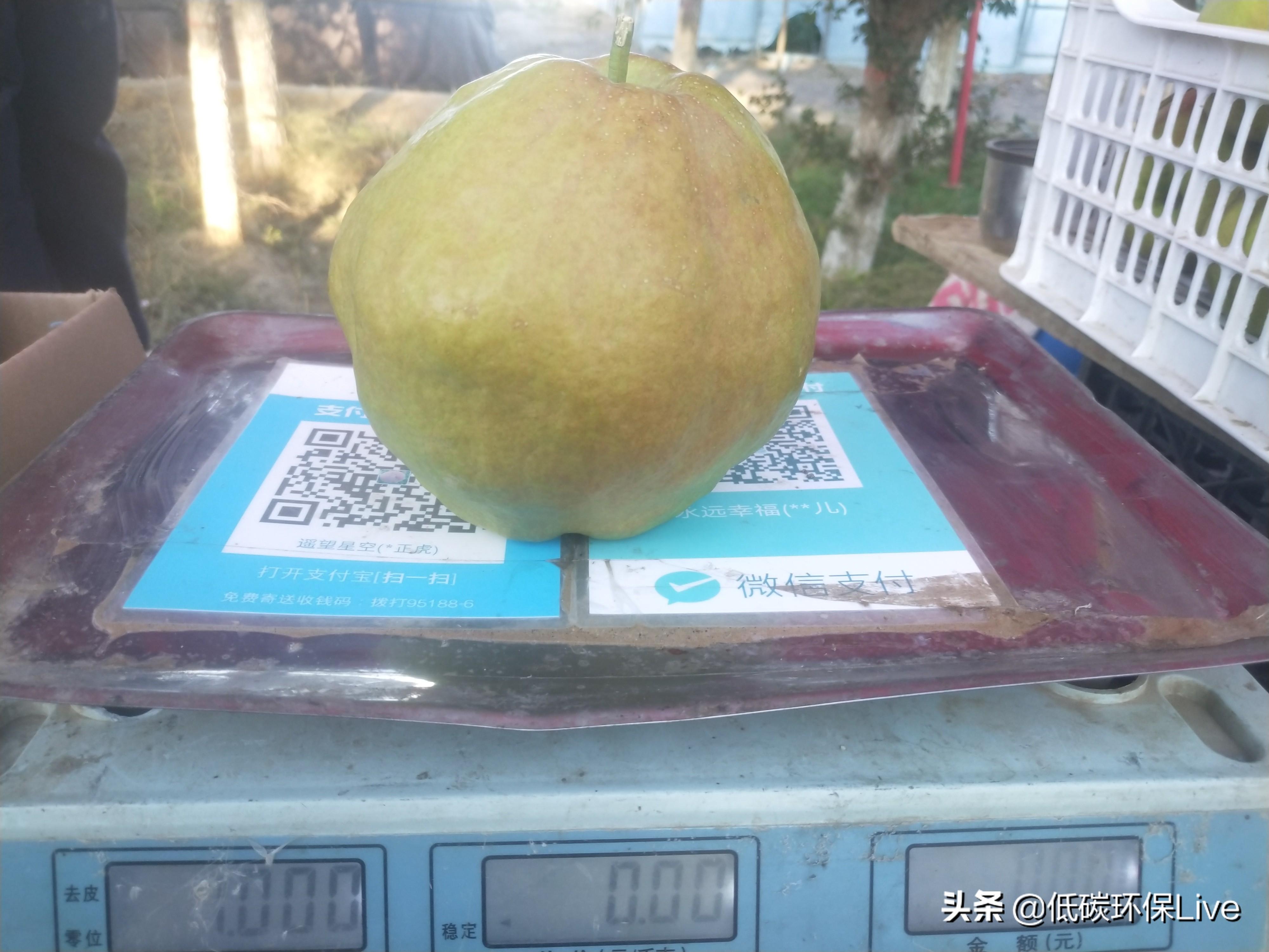 揭秘王中王的秘密—免費(fèi)資料大全的真相與精準(zhǔn)預(yù)測王中王免費(fèi)資料大全料大全一精準(zhǔn)版下載