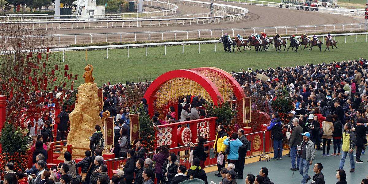 探索香港馬會(huì)免費(fèi)資料大全，解鎖賽馬的奧秘與文化
