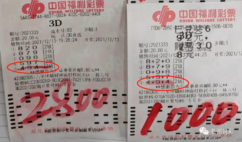 2046年澳門，天天開好彩的未來展望2024澳門天天彩期期精準(zhǔn)