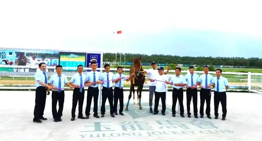 探索香港馬會，全年資料大全的深度解析香港2021年馬會資料大全
