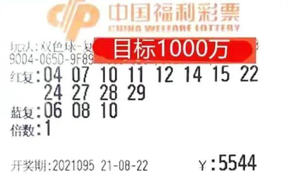 揭秘管家婆一肖的真相，理性看待彩票與概率