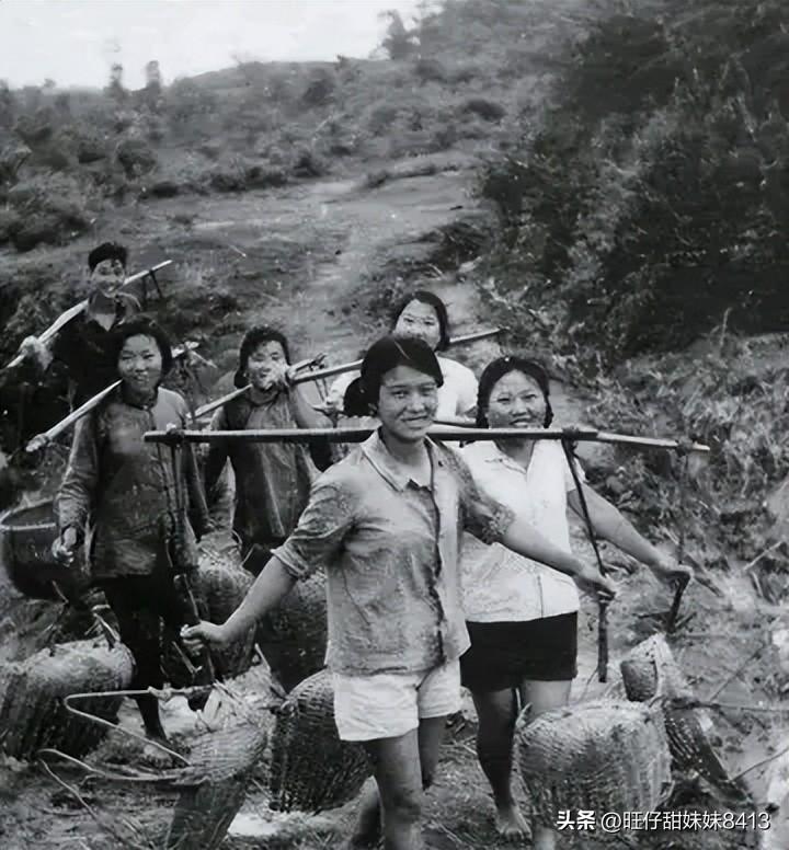 49圖庫(kù)，匯聚豐富資料，助力創(chuàng)意與學(xué)習(xí)49圖庫(kù)資料大全圖片軟件下載