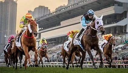 探索香港馬會(huì)正版料大全2019，賽馬的智慧與樂趣香港正版馬會(huì)免費(fèi)資料大全