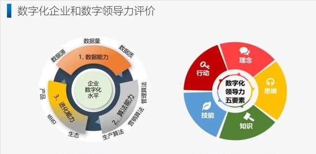 探索生活智慧，好日子高手論壇的深度解析與啟示好日子高手論壇網(wǎng)站