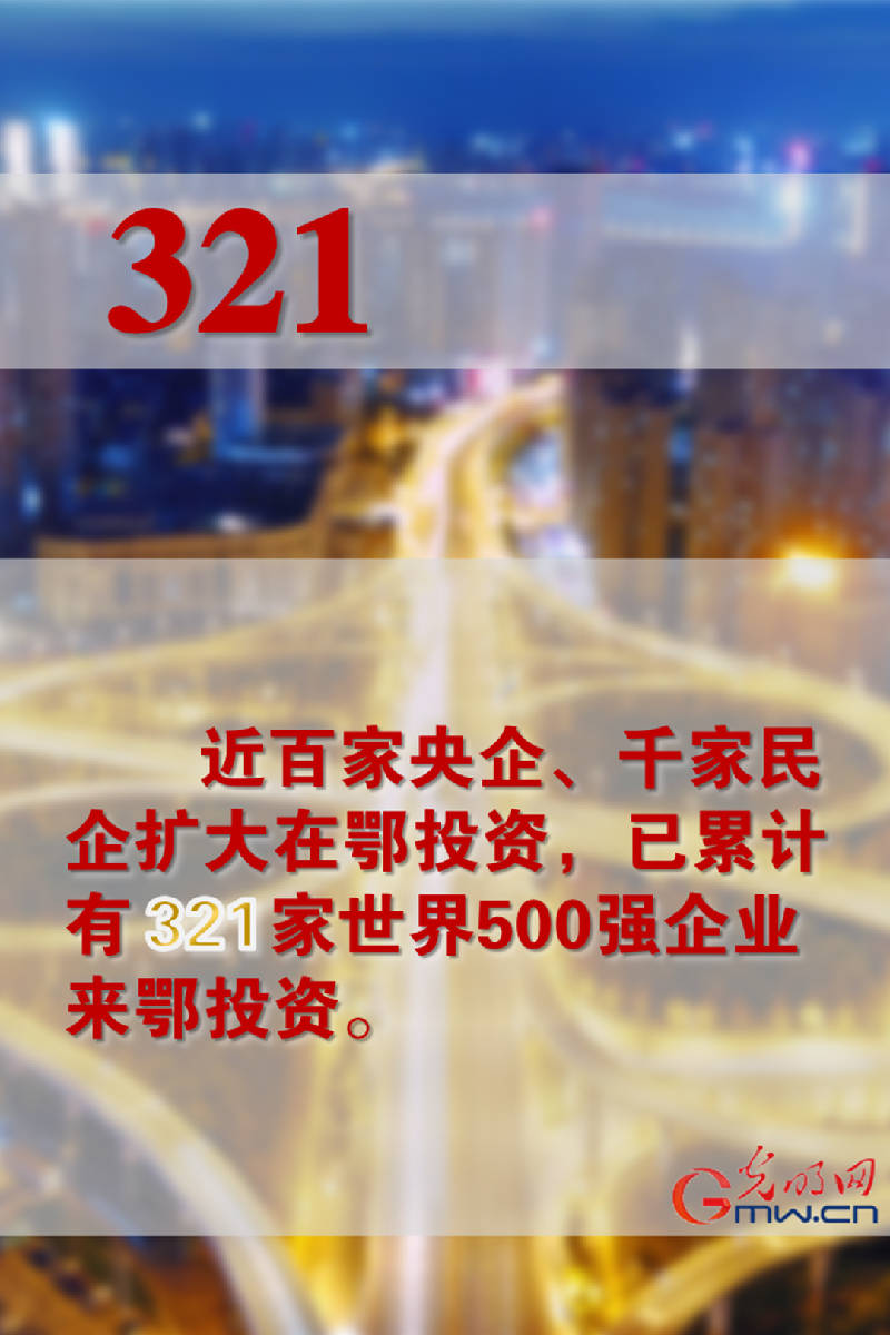 2013年香港金多寶資料，一場(chǎng)數(shù)字革命的見(jiàn)證香港金多寶資料多出號(hào)碼日