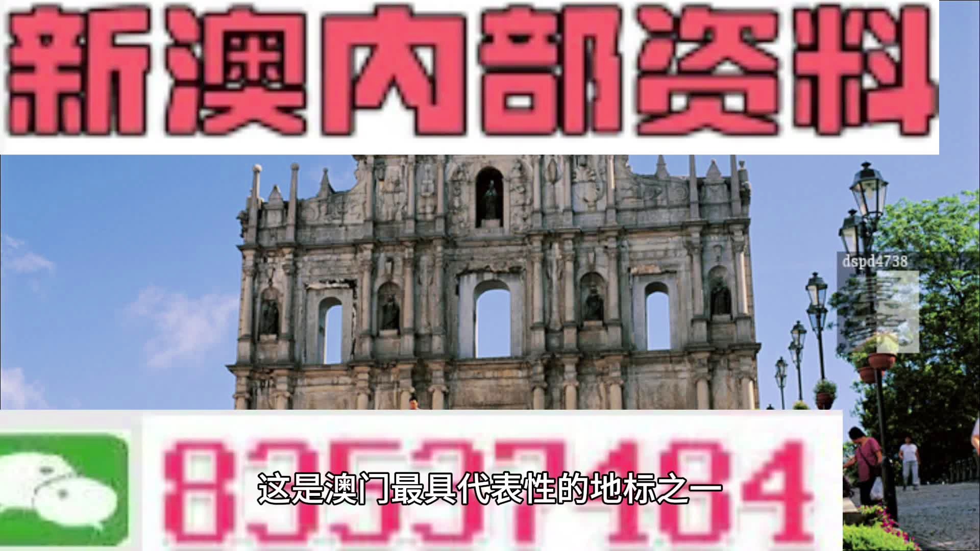 2046新澳正版資料，最新更新與未來展望2024新澳正版資料最新更新生肖梅花詩