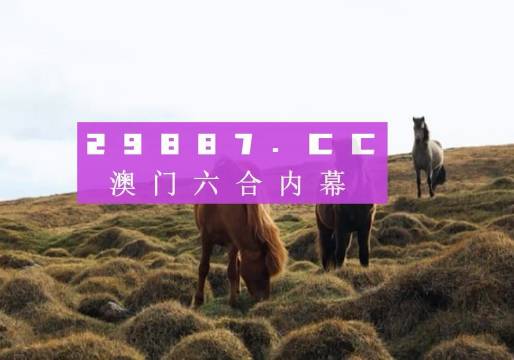 澳門4907期開獎(jiǎng)結(jié)果揭曉，歷史記錄與未來(lái)展望4949澳門開獎(jiǎng)結(jié)果開獎(jiǎng)記錄9