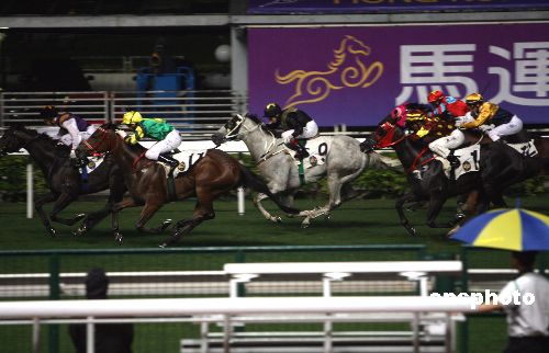 探索香港馬會(huì)正版資料大全2019，賽馬的智慧與樂趣香港正版馬會(huì)免費(fèi)資料大全