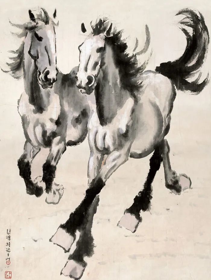今晚特馬圖，揭秘神秘數(shù)字背后的奇幻之旅今晚特馬圖資料下生肖