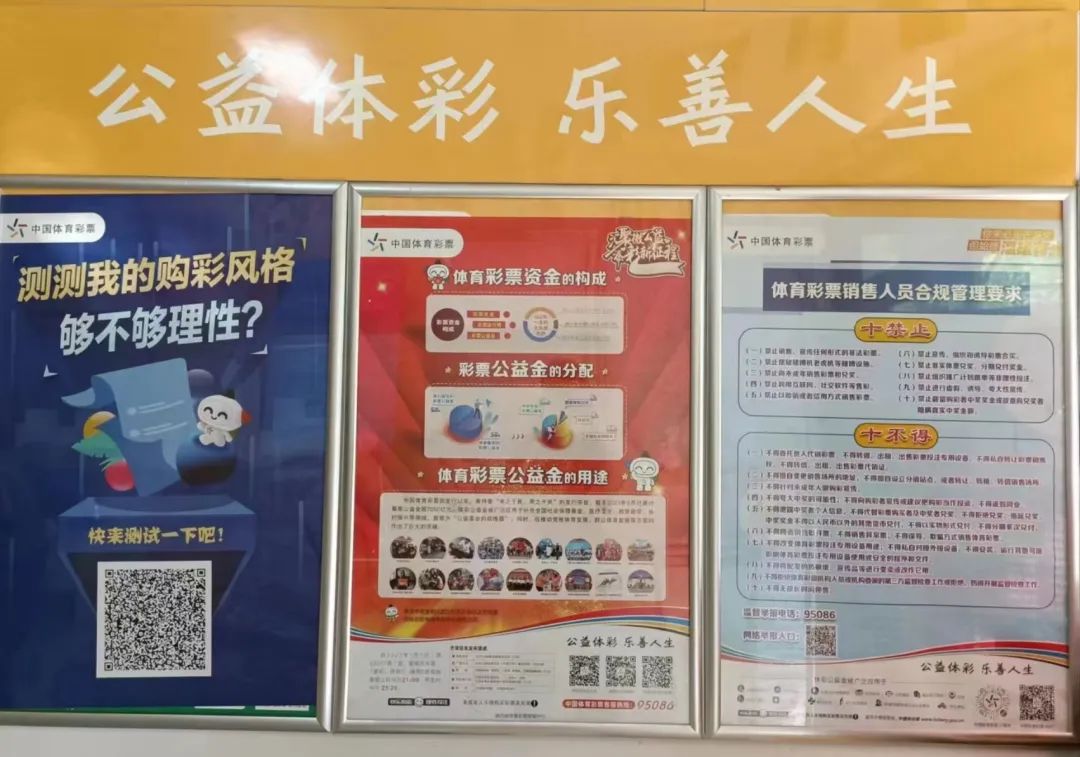 今晚特馬號，揭秘彩票背后的數(shù)字魔法與人生哲理今晚特馬號2014年