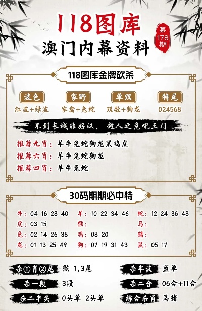 澳門，49628的背后與未來展望49629彩資料查詢