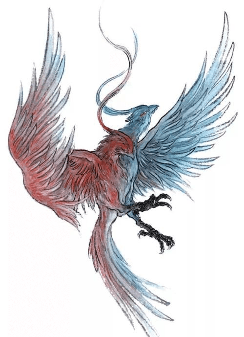 探索無翼鳥圖庫，數(shù)字世界的創(chuàng)意與自由之境無翼了鳥