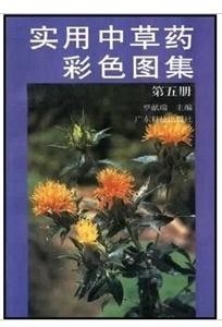 探索天牛紅五圖庫大全，深度解析與使用指南天牛紅五圖庫大全彩報