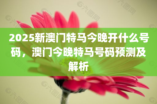 2038年今晚澳門特馬揭秘，數(shù)字背后的奧秘與期待2023今晚澳門開特馬圖