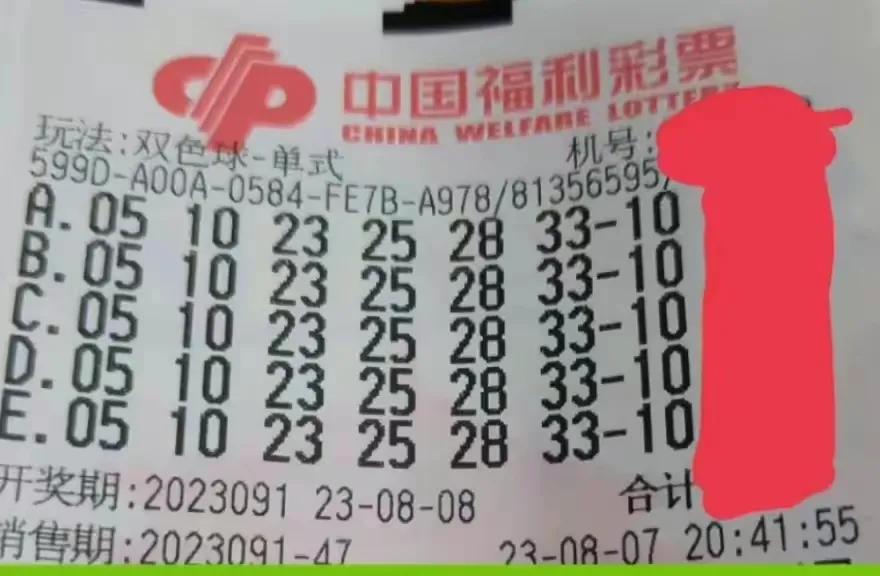 6合開獎記錄，透視數(shù)字背后的奧秘與樂趣6合開獎記錄下載