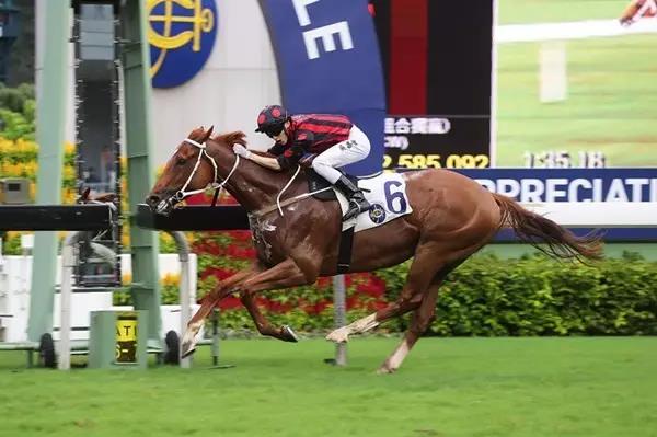 2019香港馬會(huì)資料大全，免費(fèi)資源與精彩賽事概覽香港2021年馬會(huì)資料大全