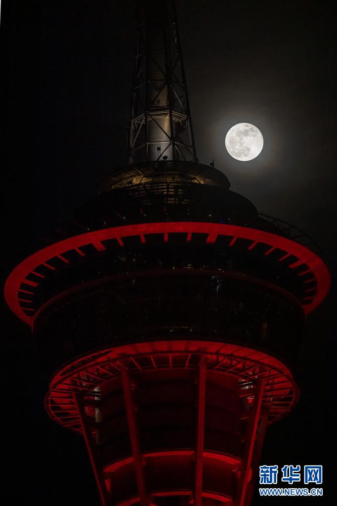 藍(lán)月亮心水論壇，網(wǎng)絡(luò)社區(qū)的獨特魅力與影響藍(lán)月亮心水主論壇澳門