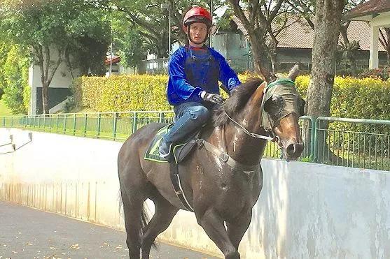 2019年正版馬會(huì)資料大全，全面解析與使用指南2021馬會(huì)資料精選免費(fèi)大全